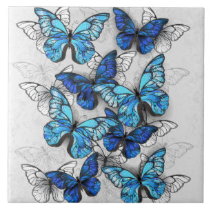 Carreau Composition des papillons blancs et bleus