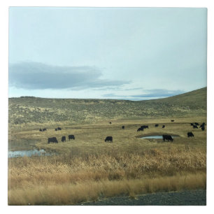Carreau Comté Rural de Baker, Oregon