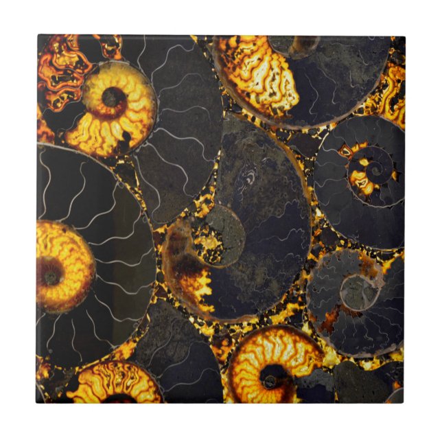 Carreau Conception de coque Nautilus (Devant)