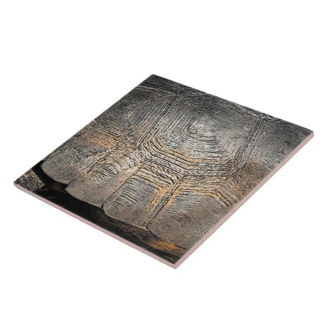 Carreau Conception de la coque de tortue Gopher (Côté)