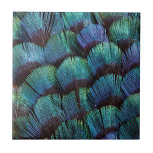 Carreau Conception de plume de faisan bleu-vert