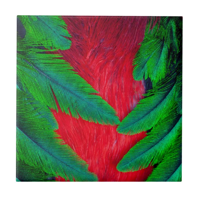 Carreau Conception de plume de Quetzal resplendissant (Devant)