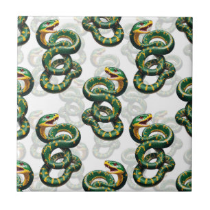 Carreau Conception du Motif de serpent Arrière - plan blan
