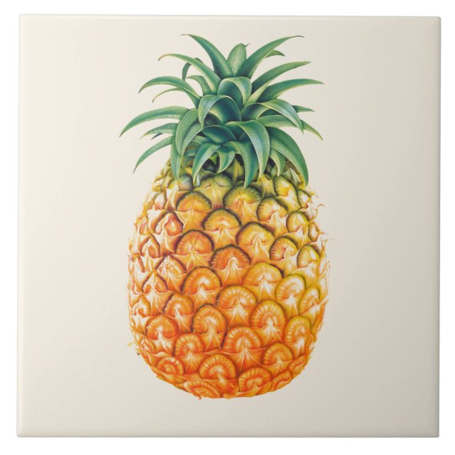 Carreau Conception illustrée d'ananas (Devant)