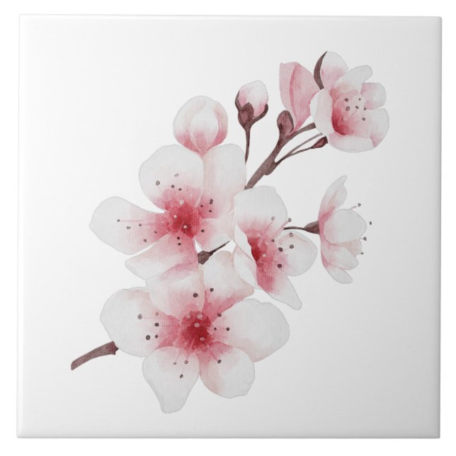 Carreau Conception Okinawa Series 30 (Devant)