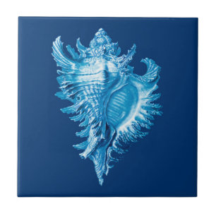 Carreau Conch Shell Sea Life Imprimer, Indigo Blue and Whi