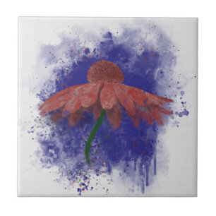Carreau Coneflower