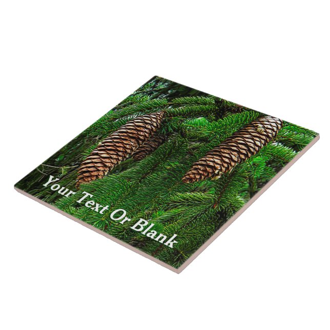 Carreau Cônes Et Aiguilles (Côté)