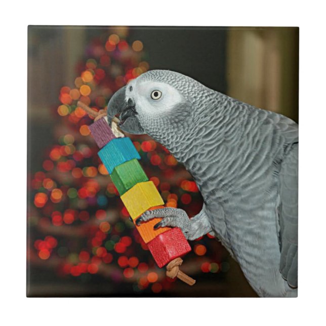 Carreau Congo African Grey Parrot Joyeux sapin de Noël (Devant)