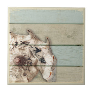 Carreau Conque de couronne