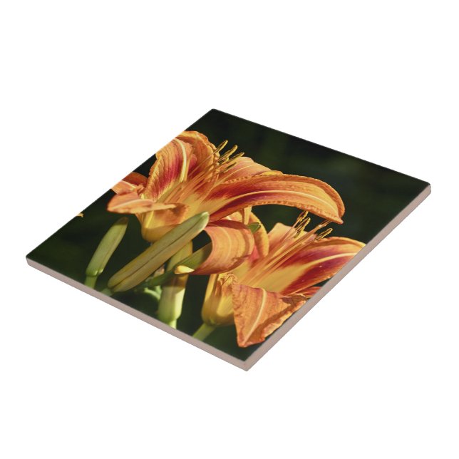 Carreau Considérons Les Lilies Du Terrain (Côté)