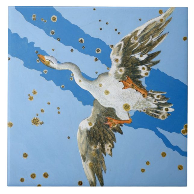 Carreau Constellation de Cygnus, de writte de (Devant)