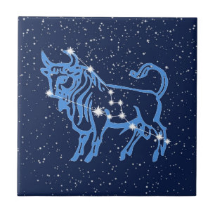 Carreau Constellation du Taureau et signe du soleil avec d