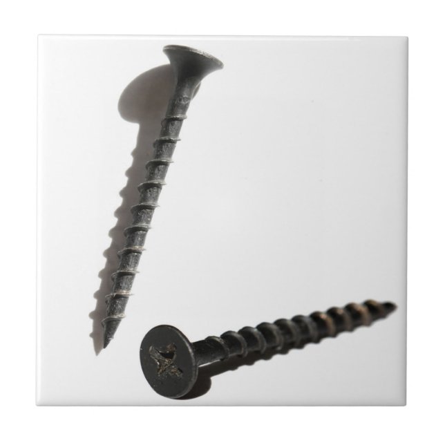 Carreau Construction du bâtiment de vis noir autobloquant (Devant)