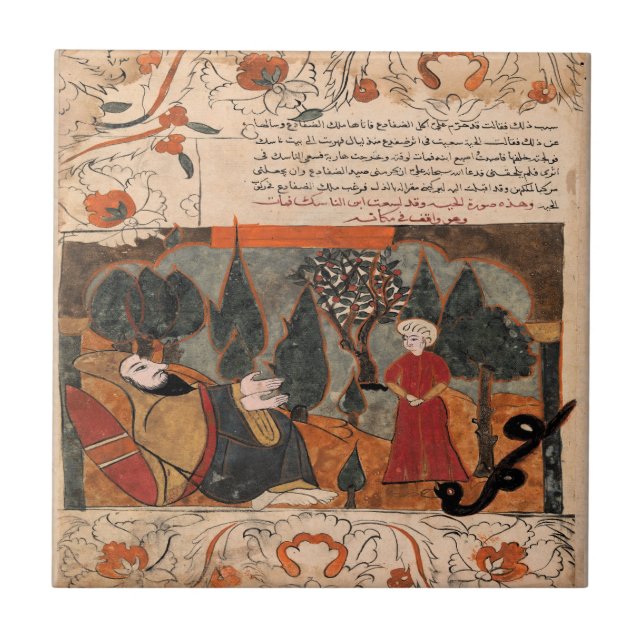 Carreau Conte de serpent de la renaissance indienne de fil (Devant)