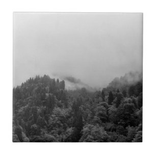 Carreau Cool, nature brumeuse magique