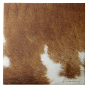 Carreau Copie Brown de peau de vache