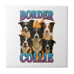 Carreau Copie de Border Collie