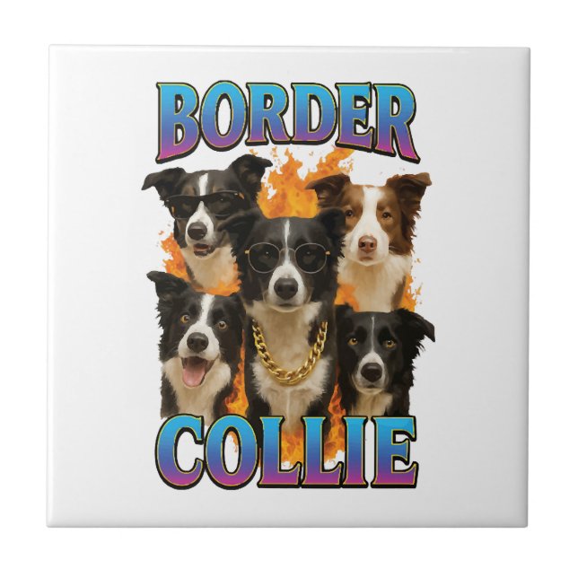 Carreau Copie de Border Collie (Devant)
