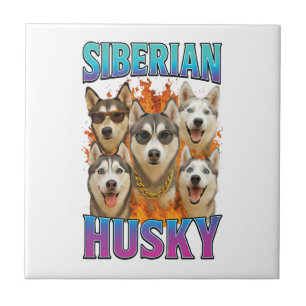 Carreau Copie de Husky sibérien