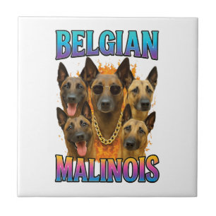 Carreau Copie de Malinois Belge