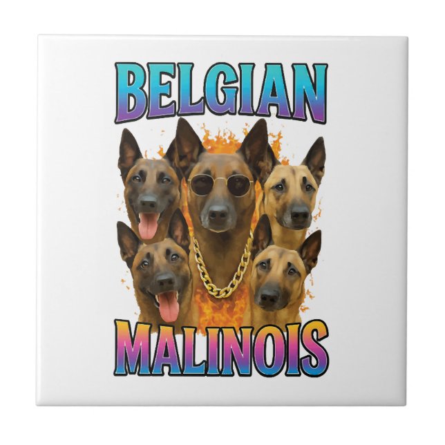 Carreau Copie de Malinois Belge (Devant)