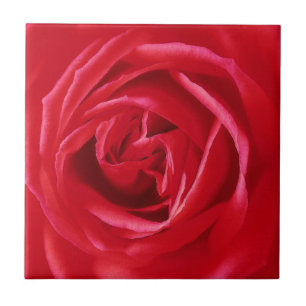 Carreau Copie de rose rouge