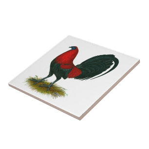 Carreau Coq de combat américain : Brun Rouge
