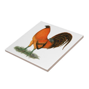 Carreau Coq de combat Ginger Rouge