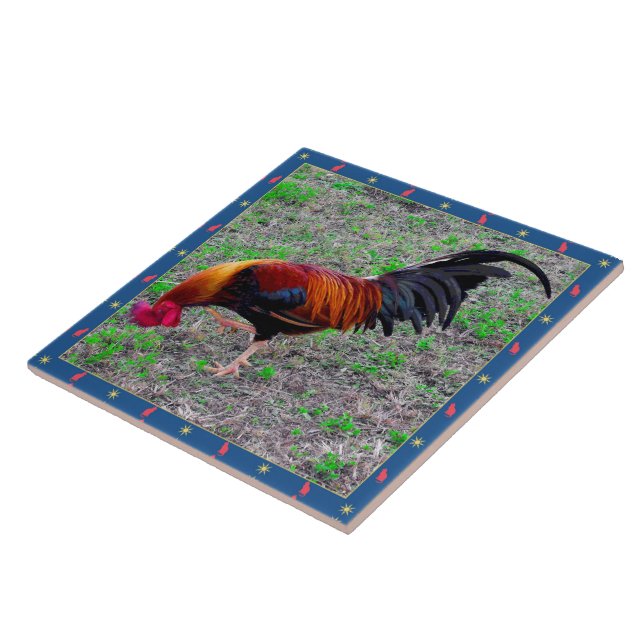 Carreau Coq de Key West (Côté)