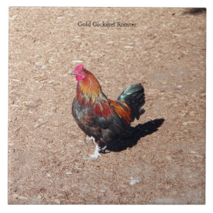 Carreau Coq en or