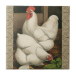 Carreau Coq & Hen à l'extérieur Hen House avec frontière b<br><div class="desc">Un imprimé d'art rustique présentant un coq vigoureux et une poule dans une maison de poules. La bordure foncée ecru est motif est constituée d'éléments en spirale. Ce tirage serait un grand ajout à une décoration de maison de campagne rurale.</div>