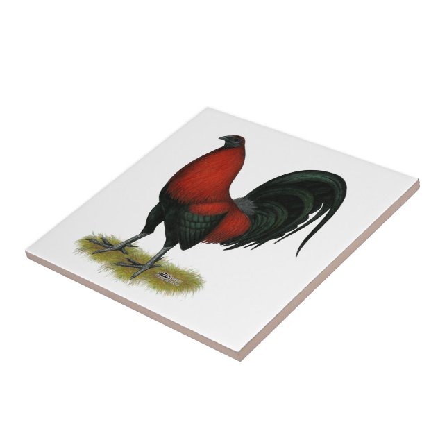 Carreau Coq Rouge Noir de Combat Américain (Côté)