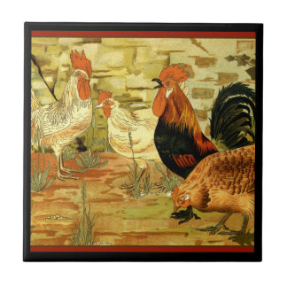 Carreau Coqs de poulets dans la ferme