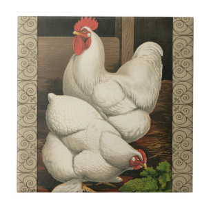 Carreau Coqs et poule en dehors de Chambre de poule avec