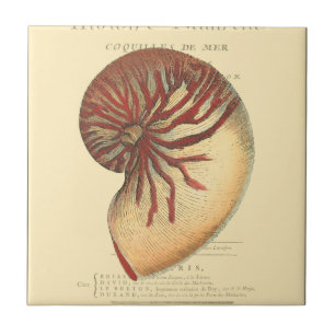 Carreau Coque conique rouge vintage