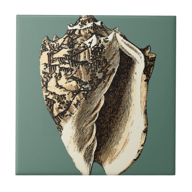 Carreau Coque conique turquoise (Devant)