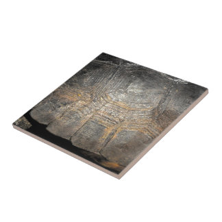 Carreau Coque de tortue Gopher