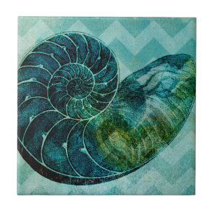 Carreau Coque spirale Turquoise