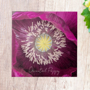 Carreau Coquelicot Oriental Fleur Rose Foncé