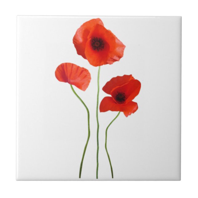 Carreau coquelicot -poppy (Devant)