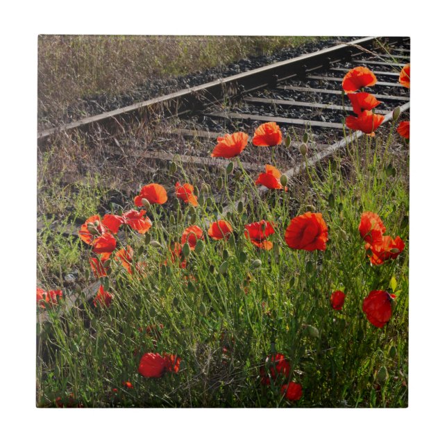 Carreau Coquelicot sauvage    (Devant)
