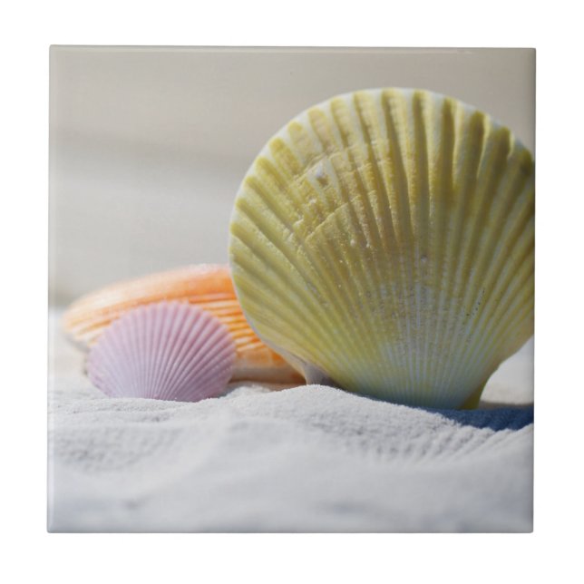 Carreau Coquillages colorés dans le sable (Devant)