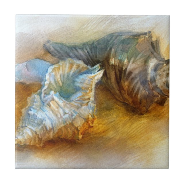Carreau Coquillages sur la plage (Devant)
