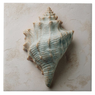 Carreau Coquille de Conque Côtière Aqua et Sable