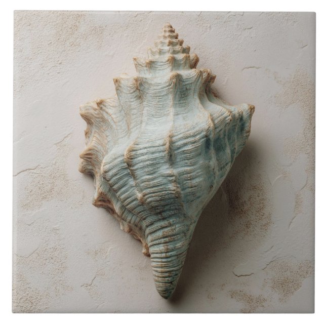 Carreau Coquille de Conque Côtière Aqua et Sable (Devant)