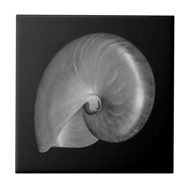 Carreau Coquille de nautile noir et blanc (Devant)