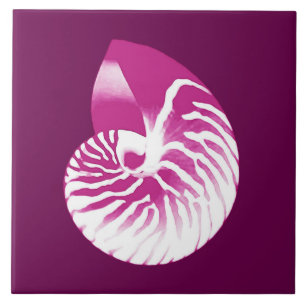 Carreau Coquille de Nautilus - aubergine violet et blanc