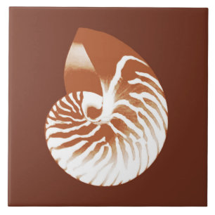 Carreau Coquille de Nautilus - cacao brun et blanc