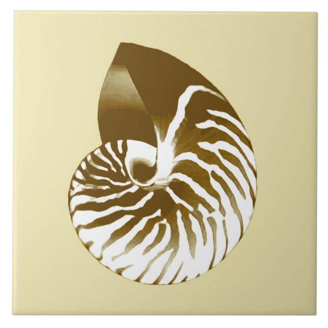 Carreau Coquille de Nautilus - marron, blanc et beige (Devant)